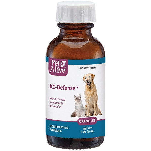 Kennel Cough